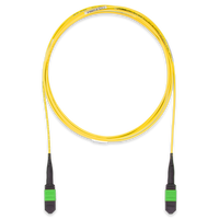 Belden FPSMFMF003ML FXPC OS2 MPO 12-Fibe