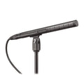 Audio-Technica BP4073 Line/Gradient Condenser Microphone