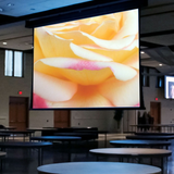 Draper 114616 Paragon/Series V Motorized Projection Screen (124 x 198")