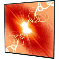 Draper 251139 113" Cineperm Fixed Projection Screen, 16:10, Matt White XT1000VB