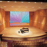 Draper 114232 Paragon/Series E Motorized Projection Screen (207.5 x 332")