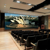 Draper 114232 Paragon/Series E Motorized Projection Screen (207.5 x 332")