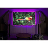 Elite Screens EF135H-PST Polar STAR Efinity 135" Fixed Frame Projection Screen