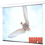 Draper 116530U Targa 113" Electric Projection Screen