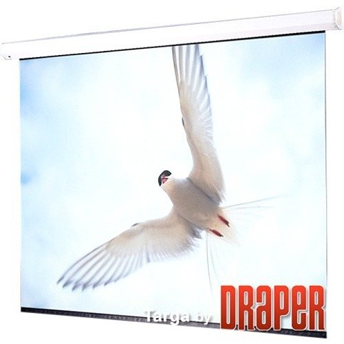 Draper 116530U Targa 113" Electric Projection Screen