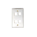 Dynacom 10600-P4-SS 4-Port Single-Gang Wall Plate, Stainless Steel