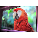 Elite Screens AR123H-CLR3 Aeon AR123H-CLR3 Aeon CLR Series 123" Ceiling Ambient Light Rejecting Projection Screen