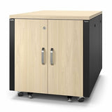 APC AR4012A NetShelter Soundproof, Server Rack Enclosure, 12U