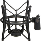 AKG 3101H00430 P420 Large-Diaphragm Multipattern Condenser Microphone (Black)