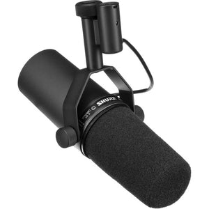 Microphones & Wireless Mics