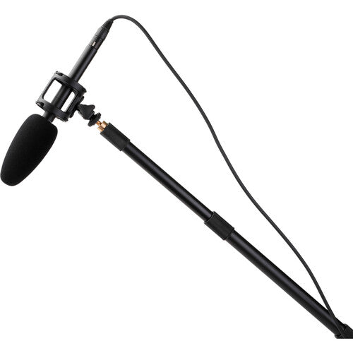 Shure VP89S Short Shotgun Microphone Kit with Shockmount and XLR Cable