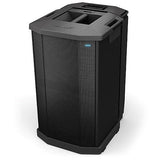 Bose Professional 731444-1110 F1 Compact Subwoofer, 10" High-Excursion Drivers, Black
