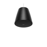 Bose Professional 835265-0120 DesignMax DM10P-SUB 10" Pendant Subwoofer, Indoor, 300W, Black