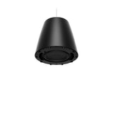Bose Professional 835265-0120 DesignMax DM10P-SUB 10" Pendant Subwoofer, Indoor, 300W, Black