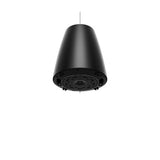 Bose Professional 841166-0120 DesignMax DM5P Loudspeakers, 1-Pair, Black