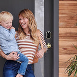Yale Locks YRD156-ZW2-P05 Yale YRD156-ZW2-P05 Pro SL Key-Free Touchscreen Deadbolt with Z-Wave Plus, Polished Brass