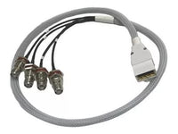 AccelTex ATS-00019 100 Series 4 Port DART to RPTNC Bulkhead Jack 10 in Cable Assembly