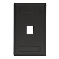 Hubbell IFP11BK Wallplate Flush Mount -Gang 1-Port Wall Plate, Black