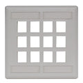 Hubbell IFP212OW 12-Port Wallplate, 2-Gang, Flush Mount, Office White
