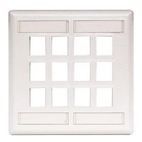Hubbell IFP212W Wallplate Flush Mount 2-Gang 12-Port Wallplate, White