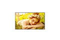 LG Pro 86UL5Q-M UL5Q-M Series 86' UHD webOS Digital Signage Display for 24/7 Operation