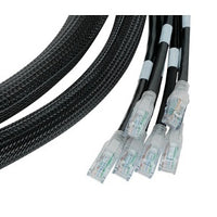 Belden C601100039A06 CAT6 Plus UTP CMR P