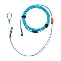 Belden FM3MMB1012M Fiber Optic Cable, OM