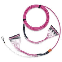Belden FM44MBD030M Connector Cables, FMT