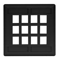 Hubbell IFP212BK 2-Gang 12-Port Flush Wall Plate, Black