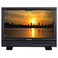 JVC DT-N17H 17.3" ProHD Broadcast Studio LED Monitor, 1920x1080, Gold Mount Battery Plate