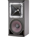 JBL Professional AM5212/00 12" Two-Way Loudspeaker System with 100° x 100° Horn, Black