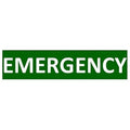 SigCom 880-0055-G Label for SPECTRUM Pull Stations Lower Section "EMERGENCY", White Text, Green Label