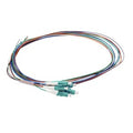 Cleerline PT-LC06-MM-1M BendSafe 900um Fiber Optic Pigtail Assembly, 6 Fiber, LC/UPC, 50 µm OM3, 1m