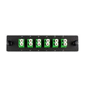 Cleerline SSF-LC12-SM-OS2-APC Adapter Plate, 12 Fiber, Duplex, LC/APC, 9 µm OS2, Green