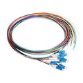 Cleerline PT-LC12-SM-3M Fiber Optic Pigtail Set, 12-Fiber OS2, Simplex LC/UPC to Blunt, 900 µm Buffered, (3.0m) 9.8'