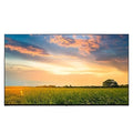 LG Pro 65UR577H9UD.AUS Digital Signage Display, 65' 4K UHD Nanocell Hospitality TV, Pro:Idiom, B-L