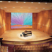 Draper 114229 307" Paragon Electric Projection Screen, 16:10, Matt White XT1000E