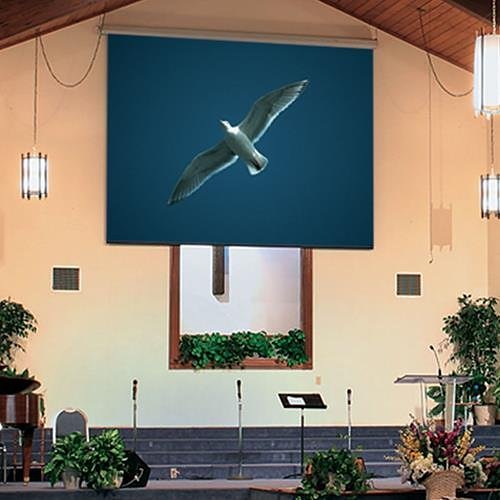 Draper Targa 116486 222" Electric Projection Screen