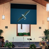Draper TARGA Electric Projector Screen