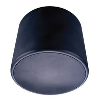 Beale Street PESV-8B Pendant Speaker Enclosure 8 inch Black