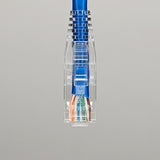 ICC ICPCSY05BL CAT6 Patch Cable, 5' (1.52m), 10-Pack, Blue