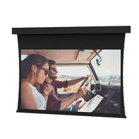 Da-Lite 14167 266" Professional Tensioned Projection Screen, HDTV 16:6