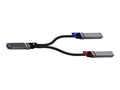 NVIDIA MCP7Y00-N002 Direct Attach Cable
