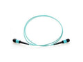 Axiom AXG95118 MPO-MPO OM4 M/M Fiber Cable 6M
