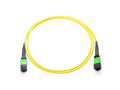 Axiom AXG95173 MPO-MPO OS2 M/M Fiber Cable 20M