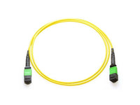 Axiom AXG95176 MPO-MPO OS2 M/M Fiber Cable 50M