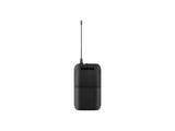 Shure BLX1288/P31-H11 BLX1288 Combo W/PGA31 and PG58