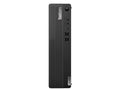 Lenovo 12V4000RUS Desktop TC M90s Gen 5 I514500 16G N W11P