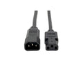 Eaton Tripp Lite P004-001 PDU Power Cord, C13 to C14 - 10A, 250V, 18 AWG, 1 ft. (0.31 m), Black