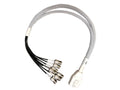 Ventev 259642 2 ft. 8 Port RPTNC Jack BHead RA DART